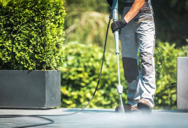 Animal Enclosure Cleaning in Dayton, NJ