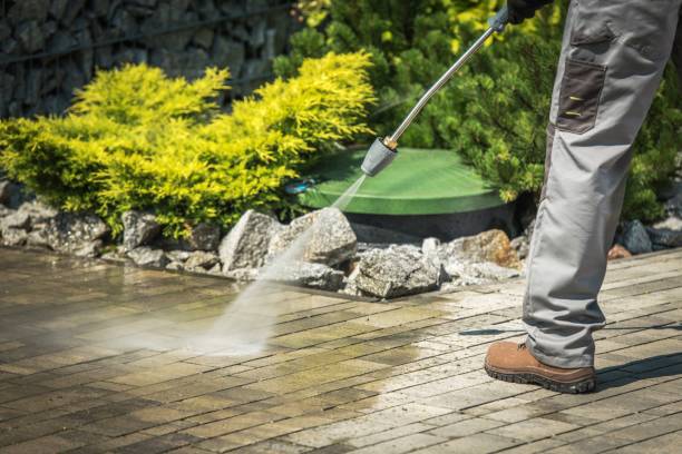 Best Spring Cleaning  in Dayton, NJ